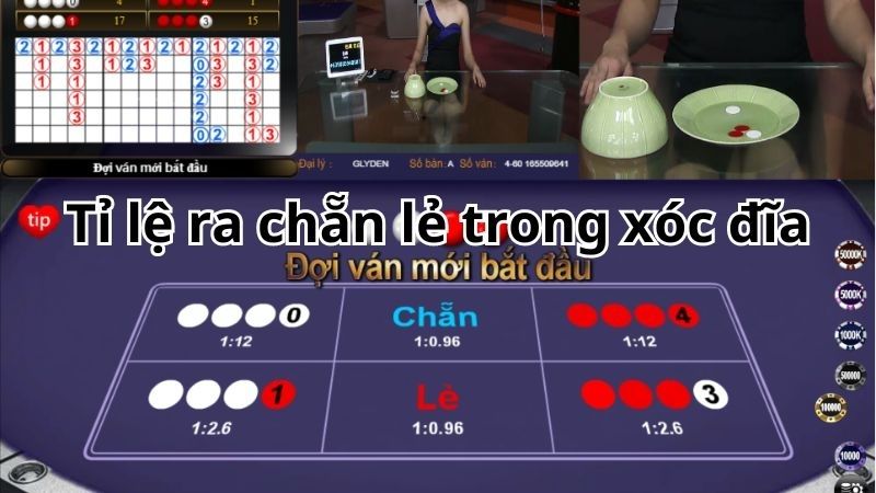 Tính chính xác tỷ lệ giúp người chơi đặt cược hiệu quả